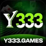 Y333 Game