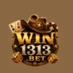 win1313 logo